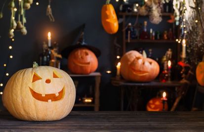 celebrating autumn